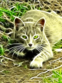 Ирина Мякшева