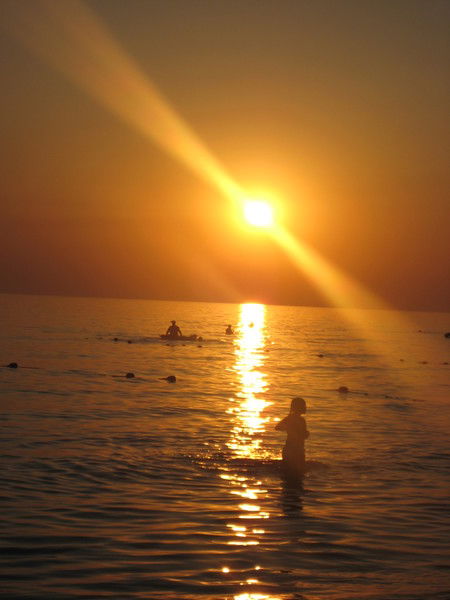 Елена Елена