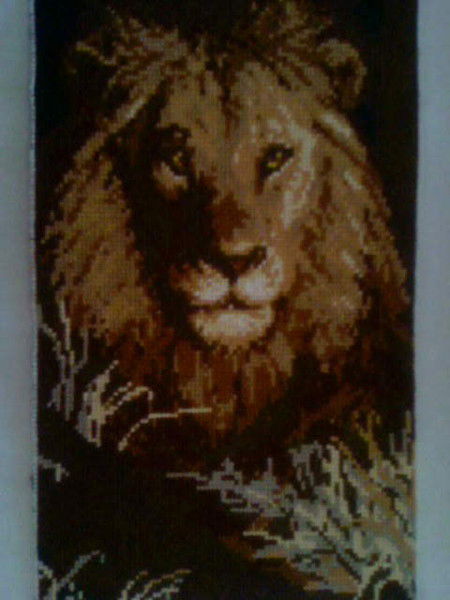 Слава Захаревич