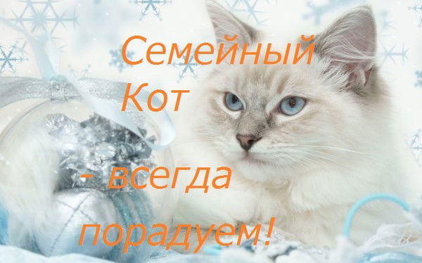Семейный Kот