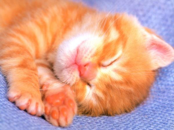 Александр Иванов