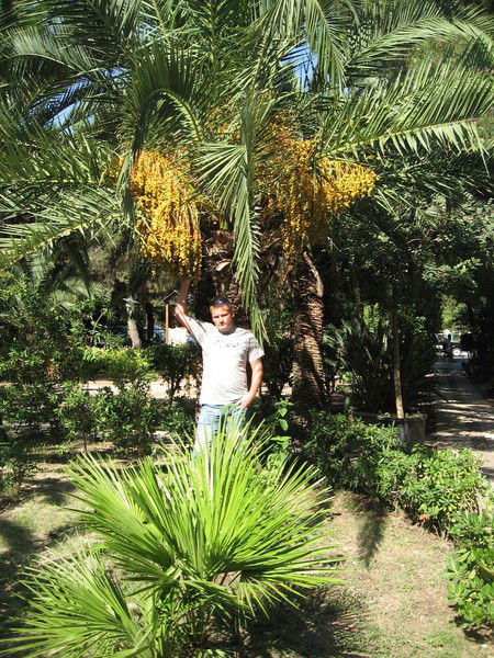 Павел Панфёров