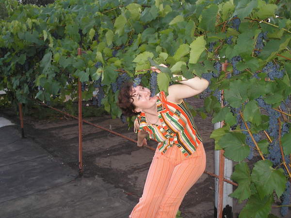 Марина Визняк