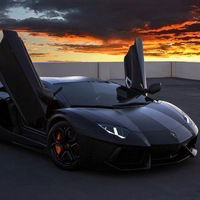 Александр Каминский