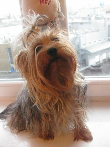 Ирина Душенко