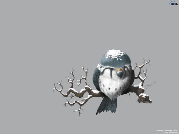 Денис Головачев