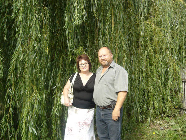 Лукины Т И С