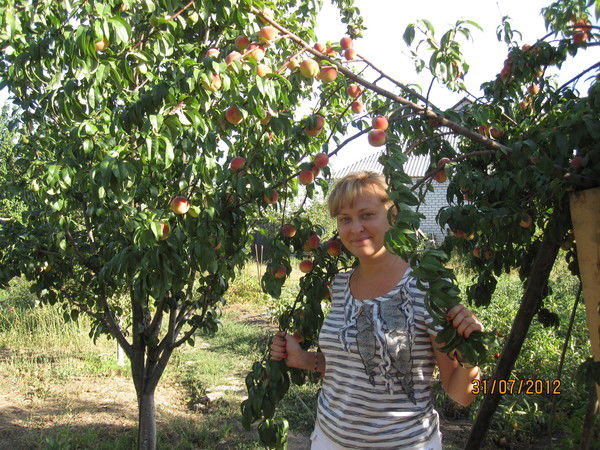 Наталия Селихина