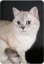 Валентина Лунина