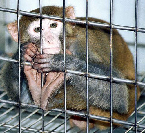 Неизвестно Неизвестно