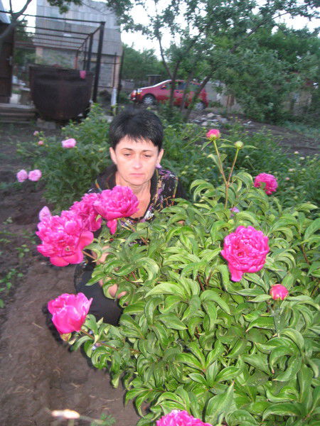 Елена Данилова