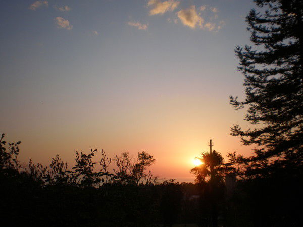 Оксана Бойко