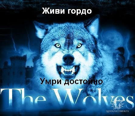 Вячеслав Дрозд