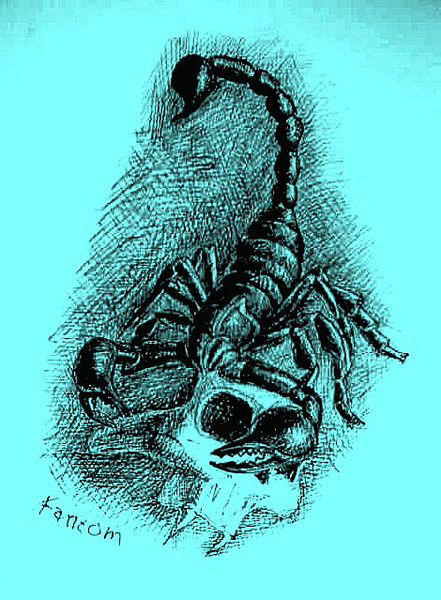 Денис Васин