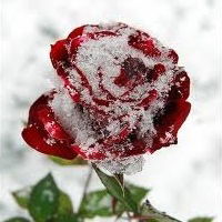 Мариям Афашокова