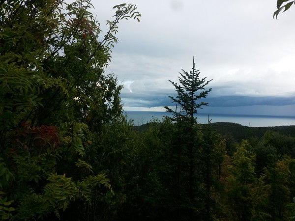 Сергей Гончар