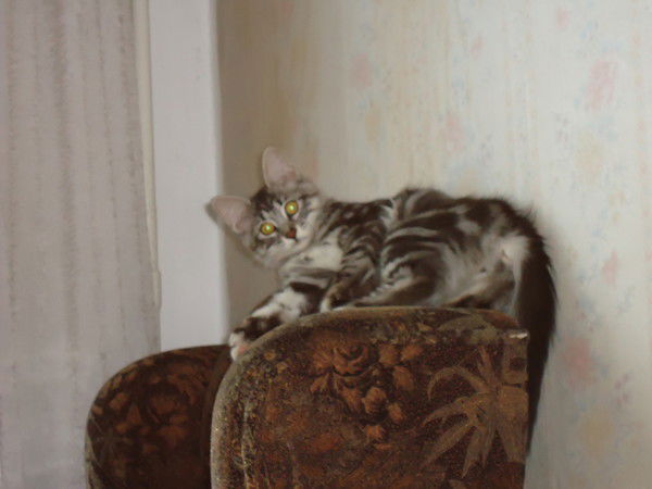 Катерина Галеева