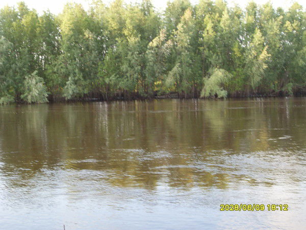 Федорова Снежана