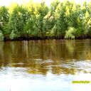 Федорова Снежана