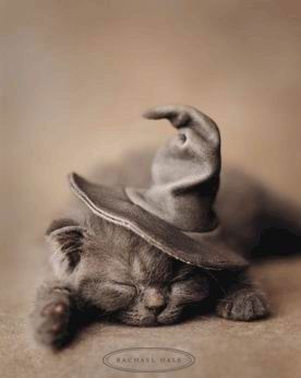 Ия Бирюкова