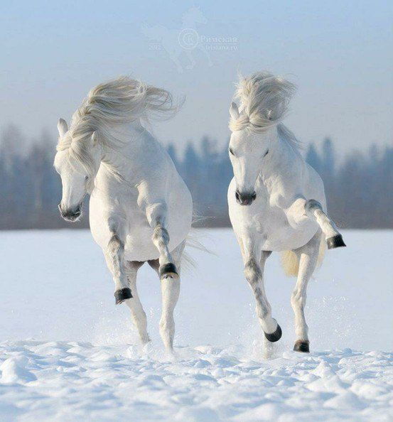 Исатай Айбеков