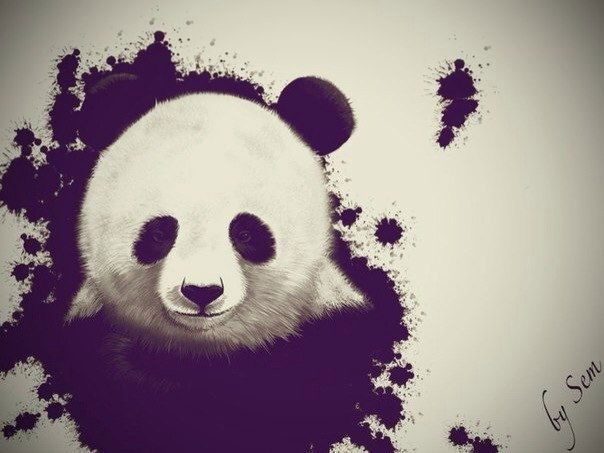 Roma Кузнецов