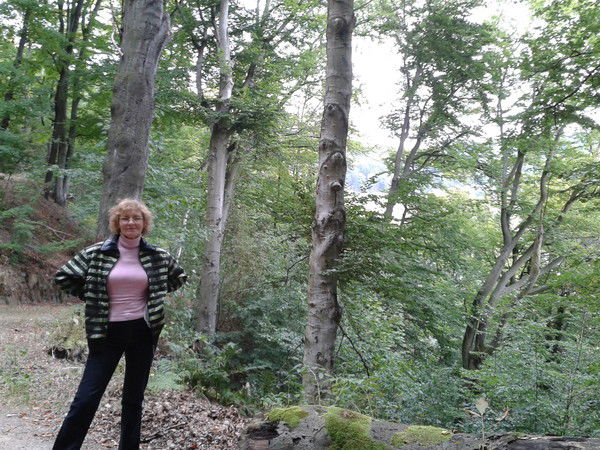 Елена Ваховская