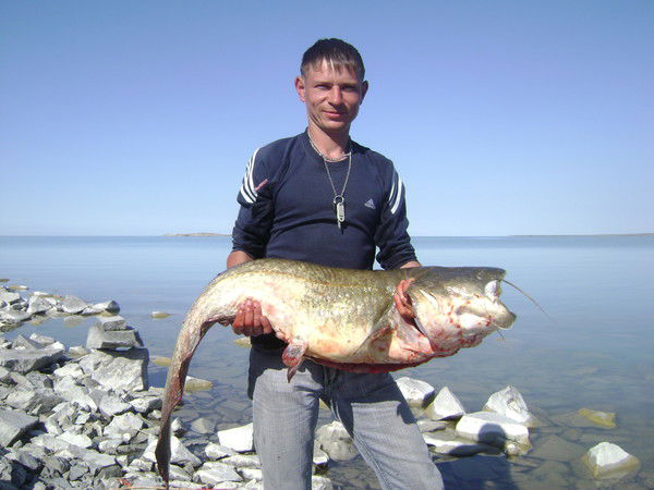 Александр Пуховиков