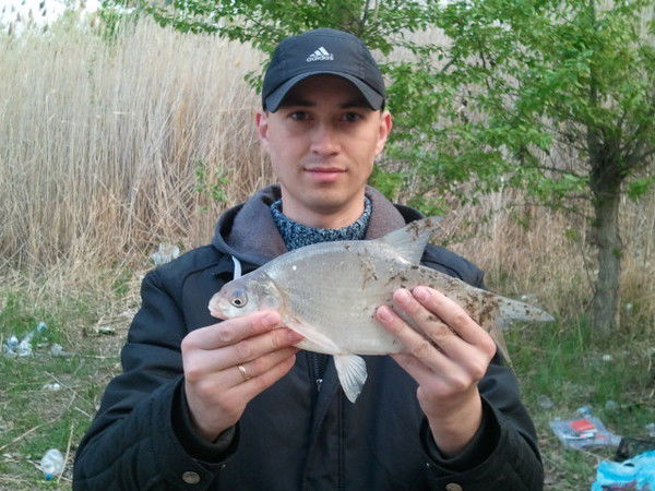 Сергей Романенко