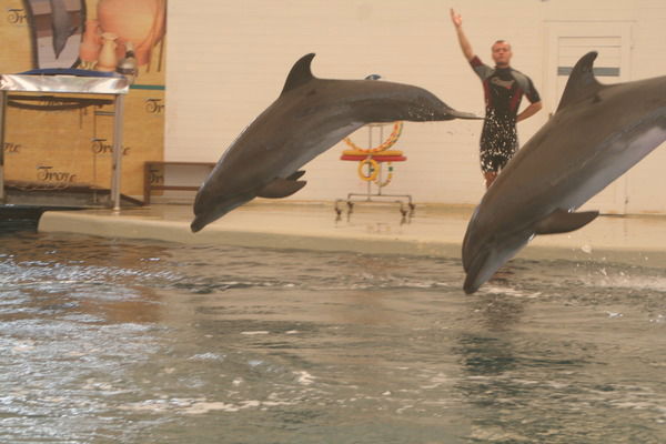 Светлана Русанова