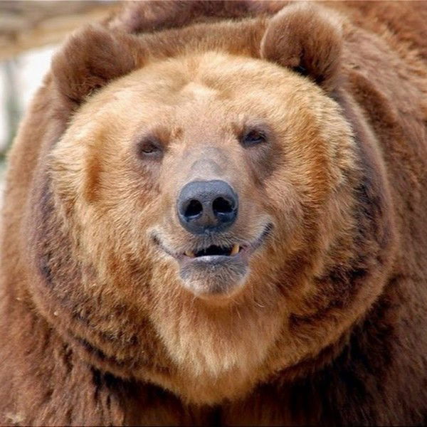 Сергей Ворчун