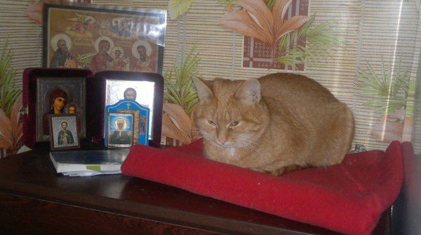 Татьяна Генералова