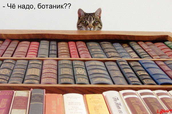 Михаил Сайганов