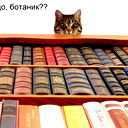 Михаил Сайганов