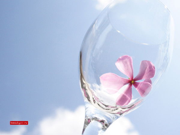 Айжана Сарбанова