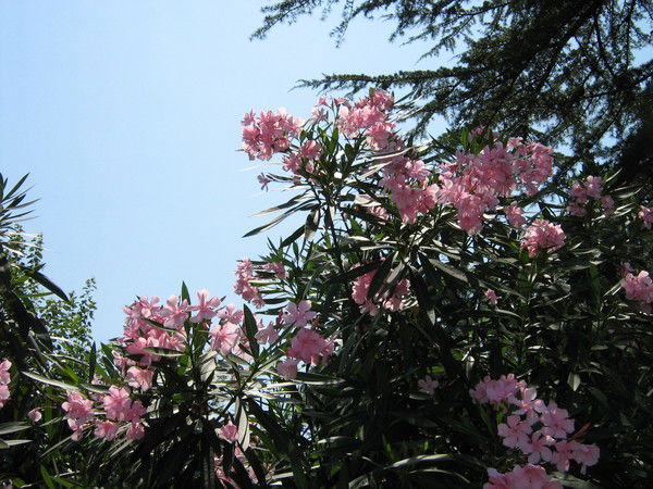 Светлана Рычкова