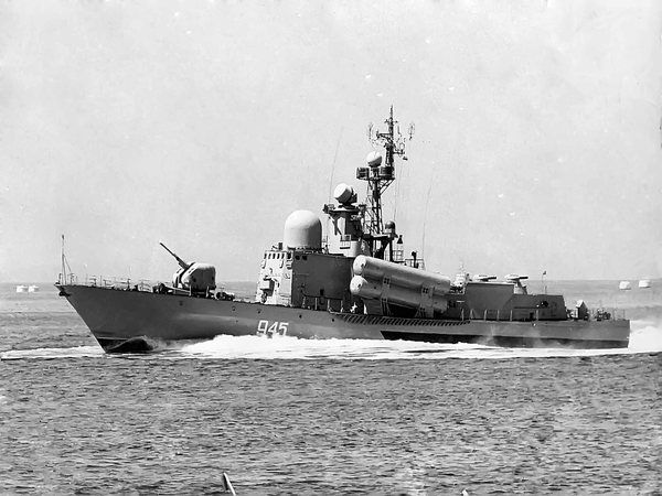 Андрей Стёпин