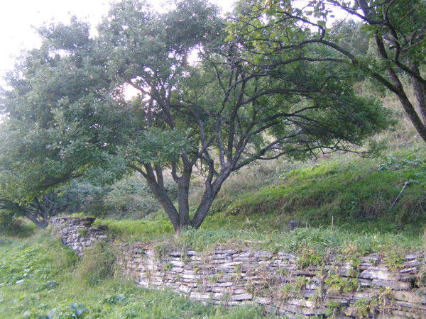 Ооо Камнерезы Алтая