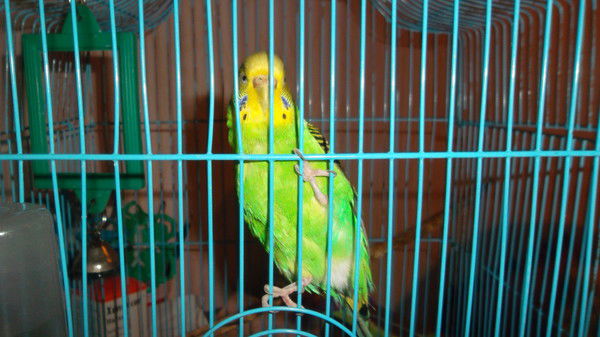 Наталья Сухолет