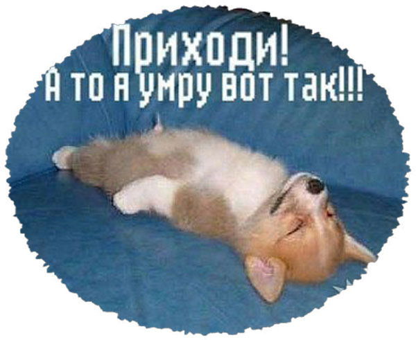 Елена Авдеева