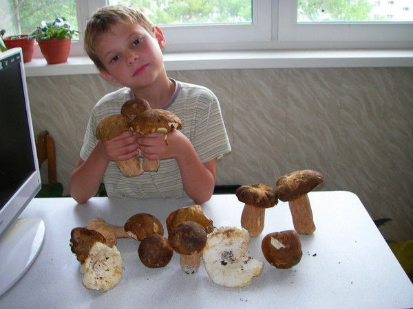 Слава Павлюц