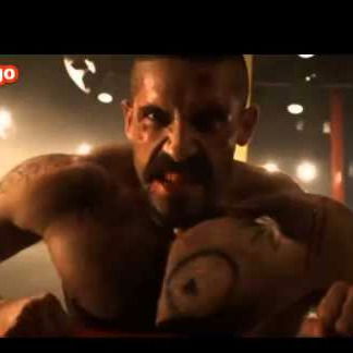 Тимофей Лапшов