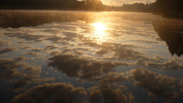 Андрей Еремин
