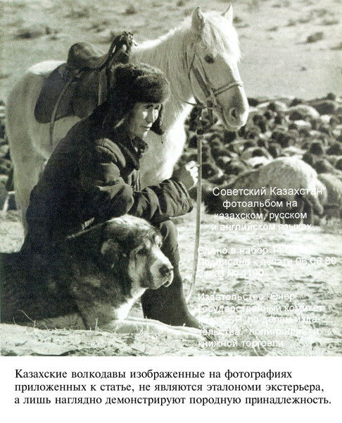 Махамбет Спабеков