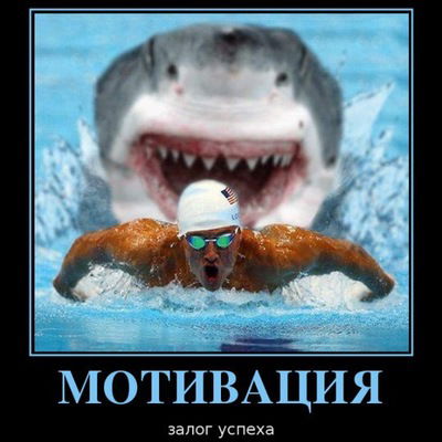 Саша Пшеничко