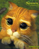 Сергей Васильев