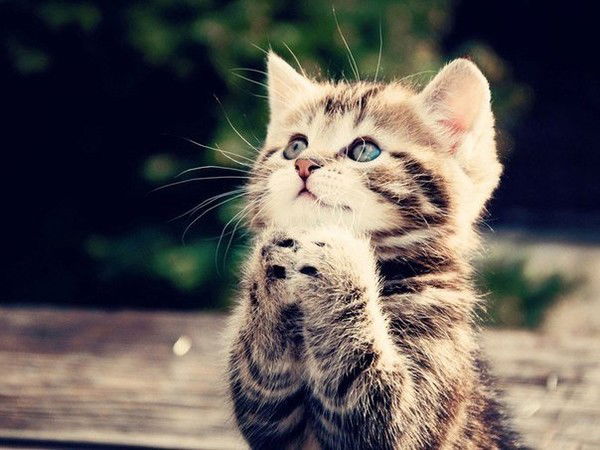 Мария Байыр