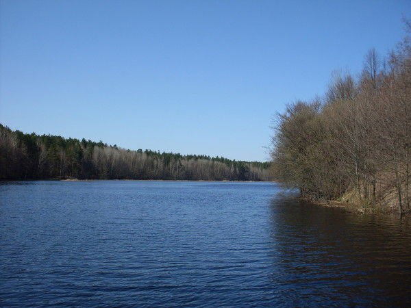 Касимовский Район