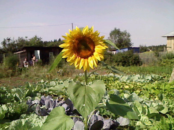 Андрей Ширко