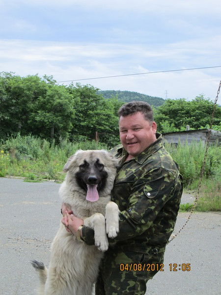 Алексей Иконников